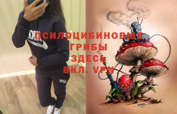 синтетический гашиш Алексеевка