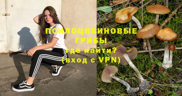 синтетический гашиш Алексеевка