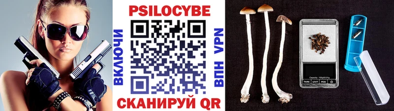 закладки  blacksprut ТОР  Псилоцибиновые грибы мухоморы  Петушки 